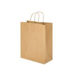 Brown Kraft Shopping Bags with handle